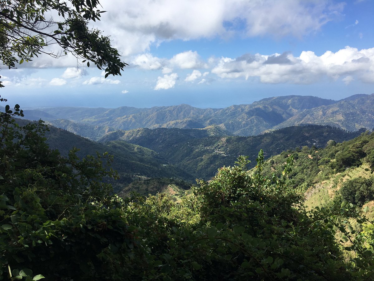 Blue Mountain Peak Jamaica