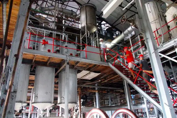 Clarke's Court Rum Distillery Tour