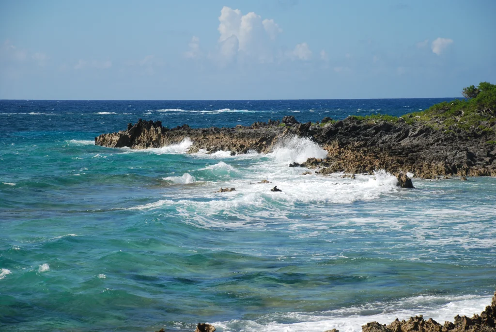 Gravelly Bay bermuda