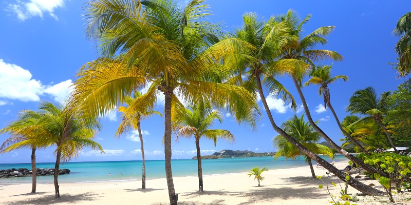Gros Islet beach