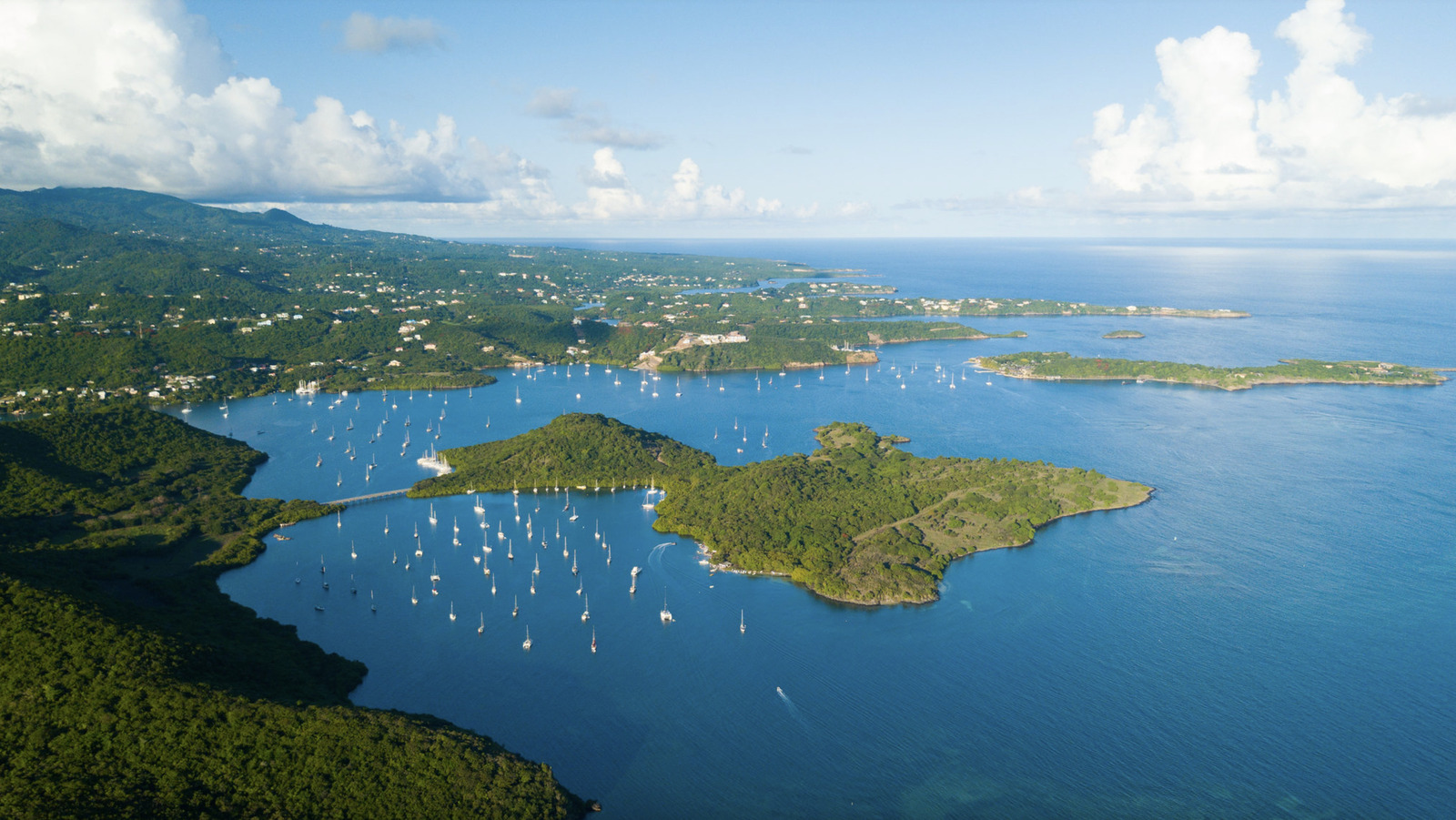 Hog island