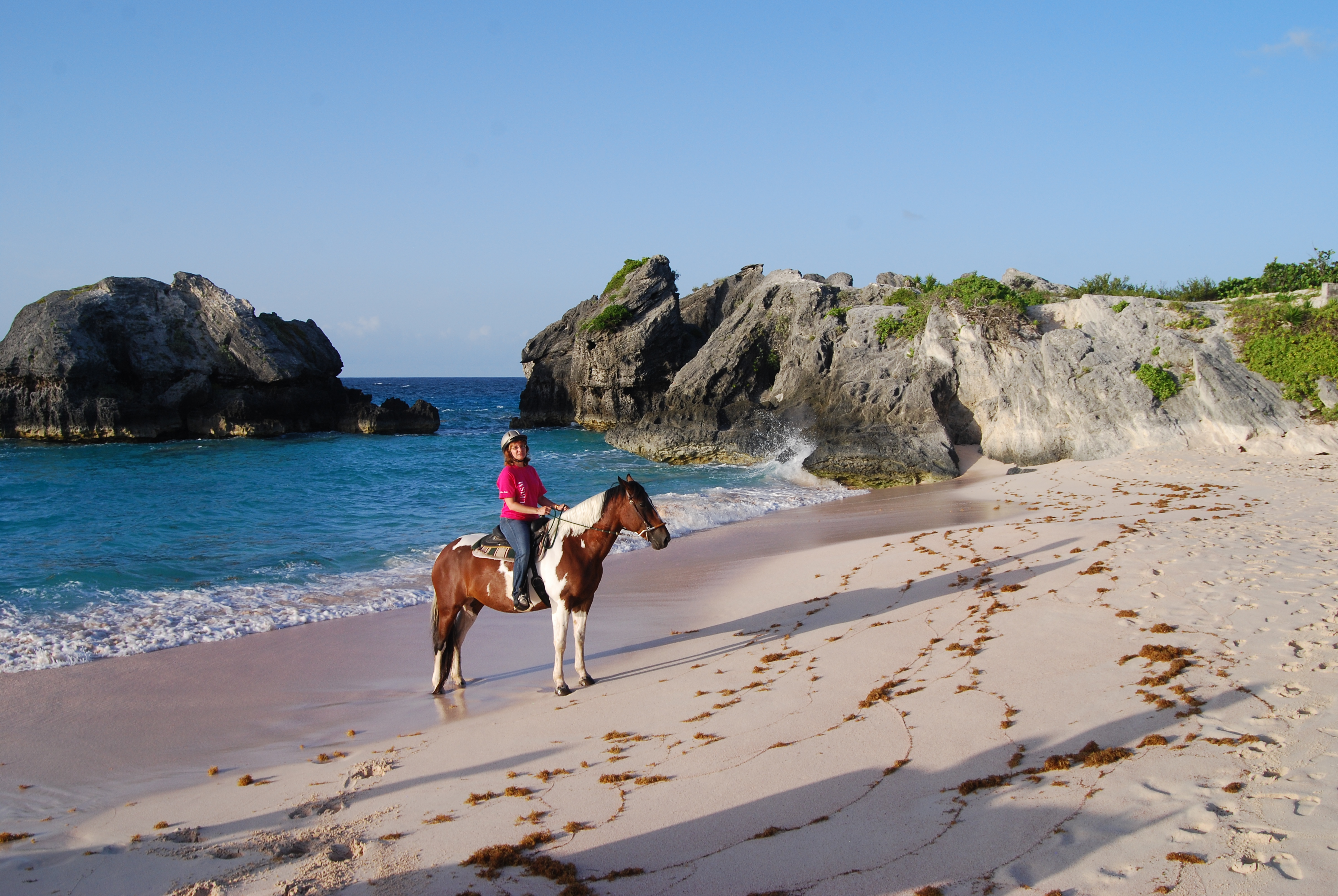 Horseback Riding at Spicelands Riding Centre Bermuda