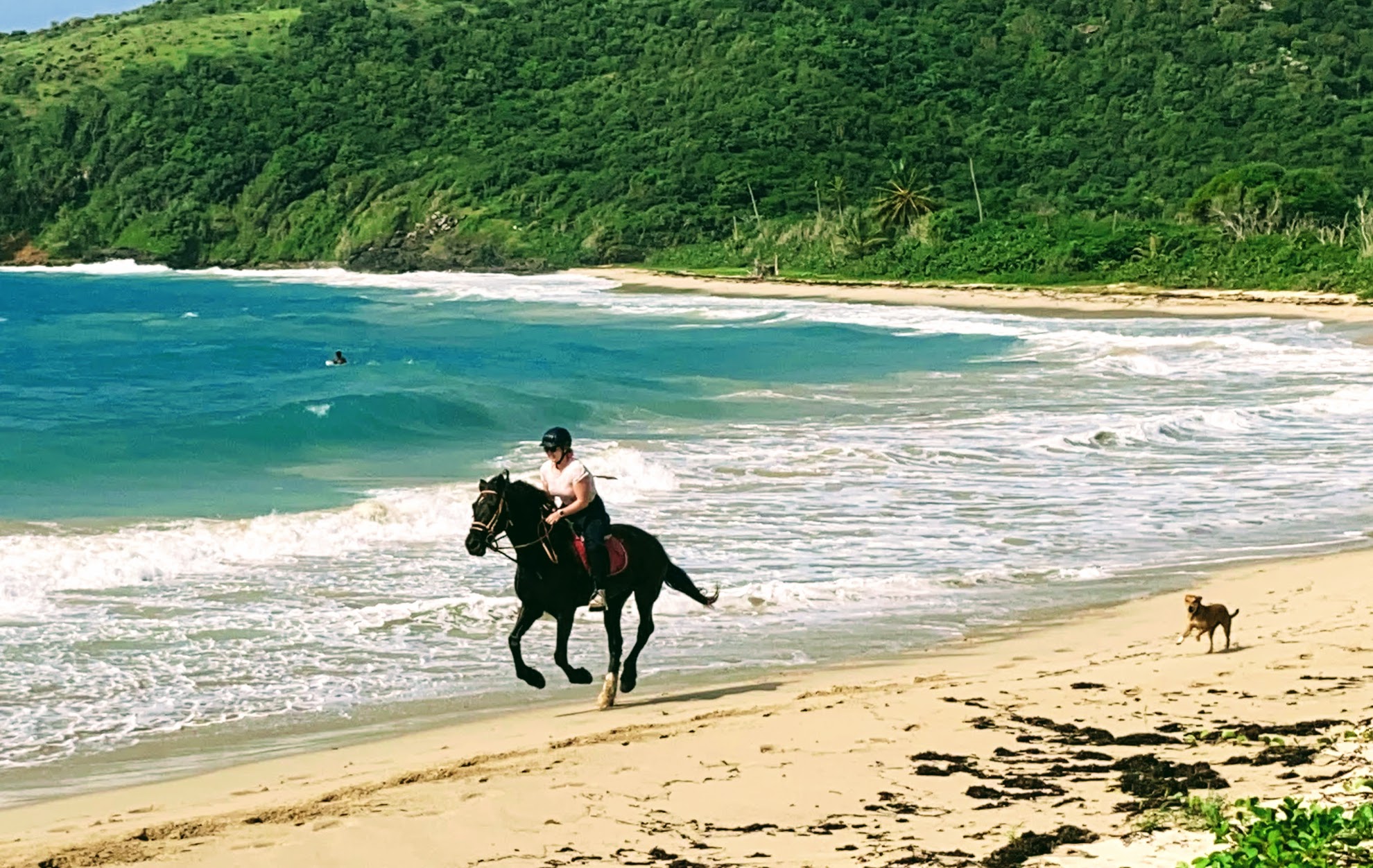 Horseback Riding on the Beach
