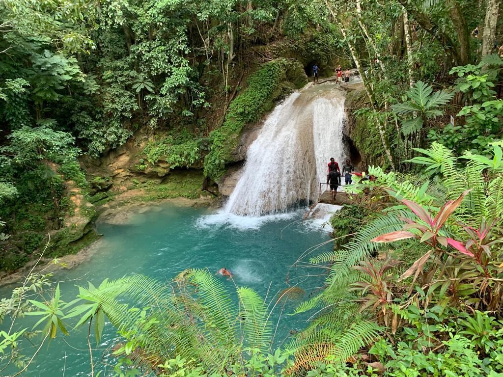 Island Gully Falls Jamaica