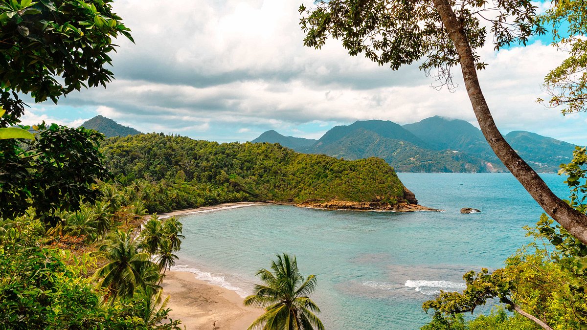 Island Hopping to Martinique