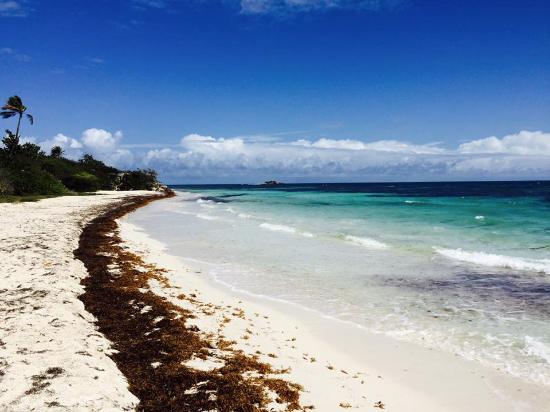 Jabberwock beach