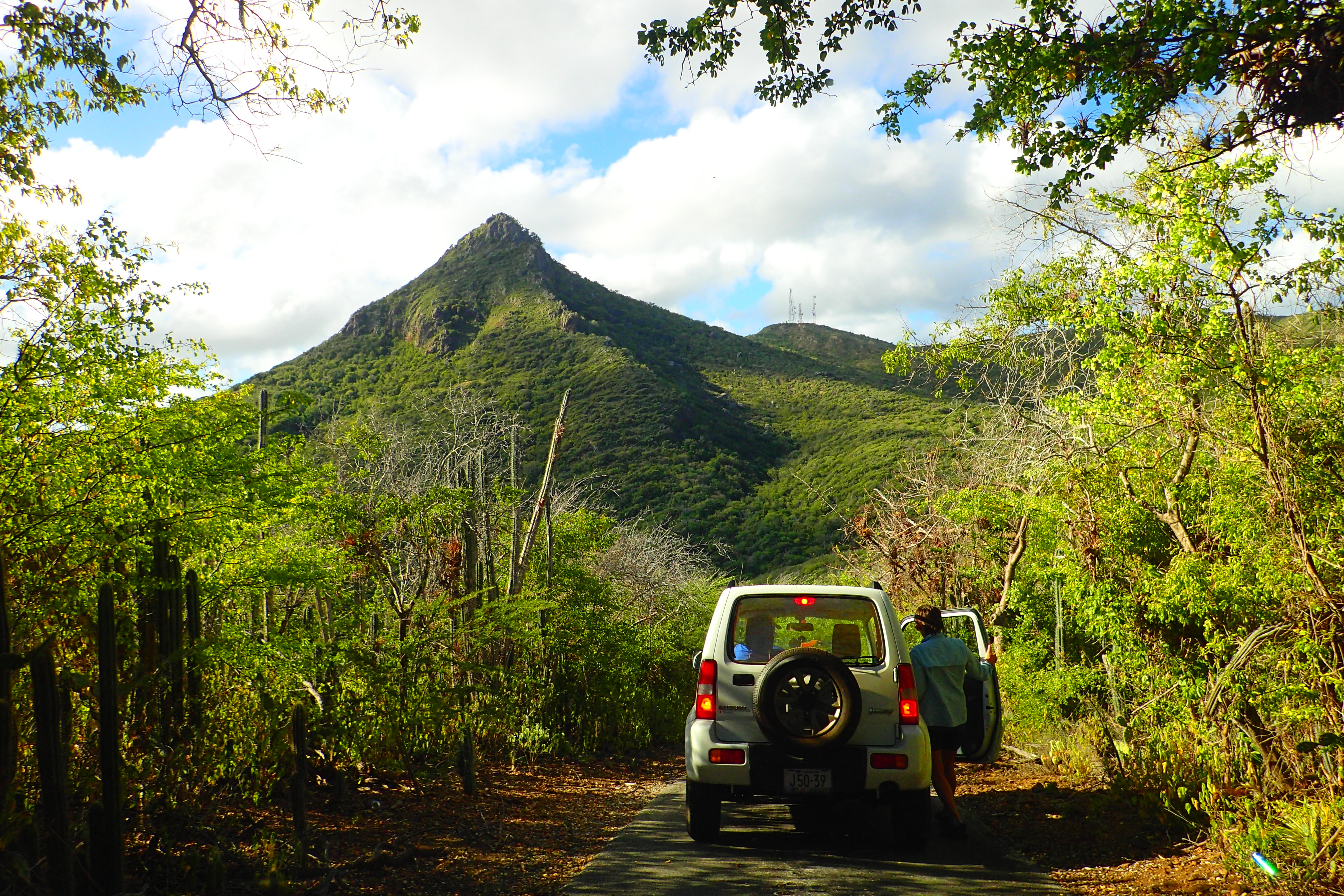 Mountain Bike Tour at Christoffel Park curacao