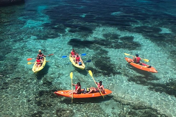 River Kayaking and Paddleboarding