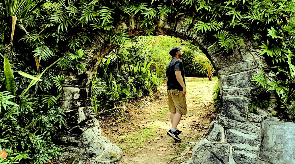 The Bermuda Jungle Adventure Bermuda