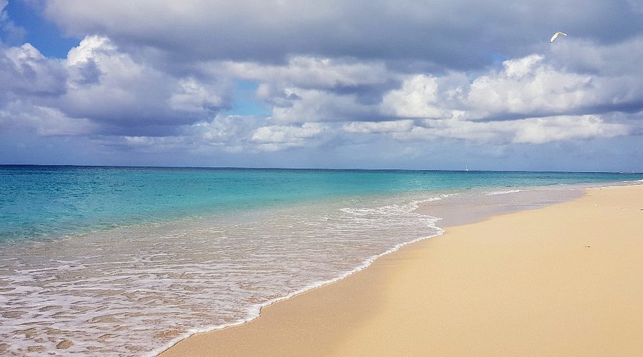 turners-beach-antigua