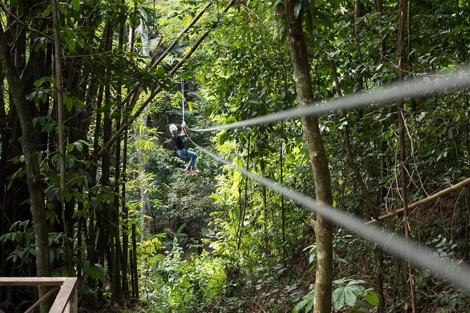 Ziplining at Treetop Adventure Park