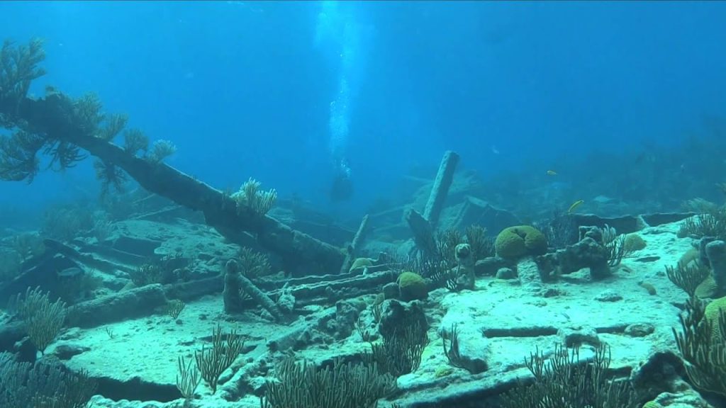 montana lartington bermuda