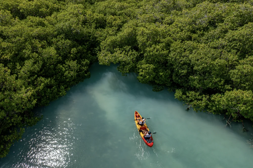 Bonaire’s Mangrove Reserve