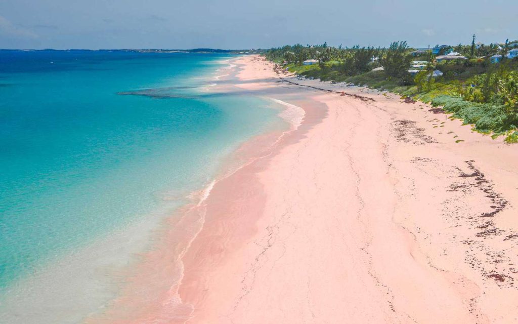 Pink beach Bonaire