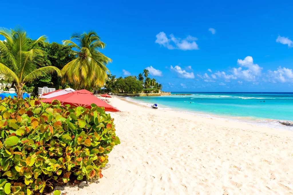 best family snorkeling barbados