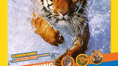everything big cats book