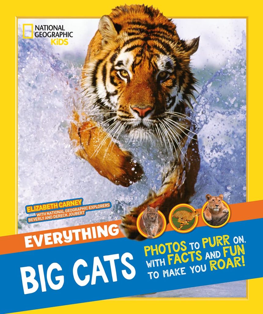 everything big cats book