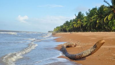 family beaches guyana