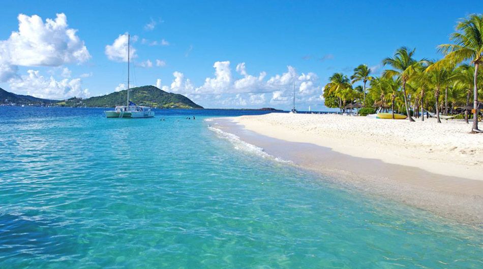 family snorkeling beaches grenadines