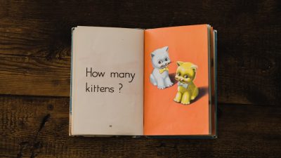 best chapter books for 2nd grade