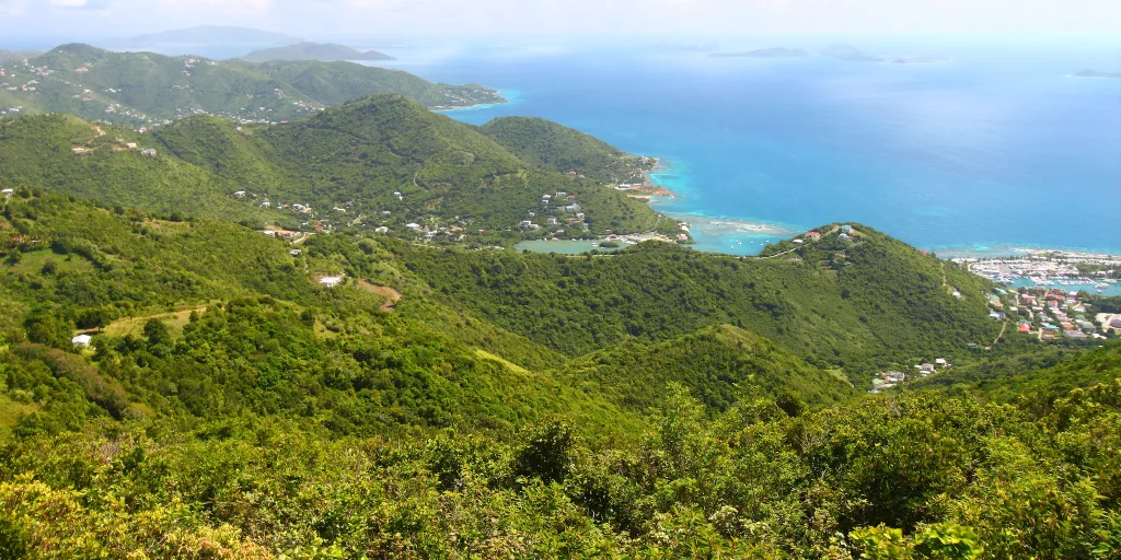 sage-montain-national-park-tortola bvi