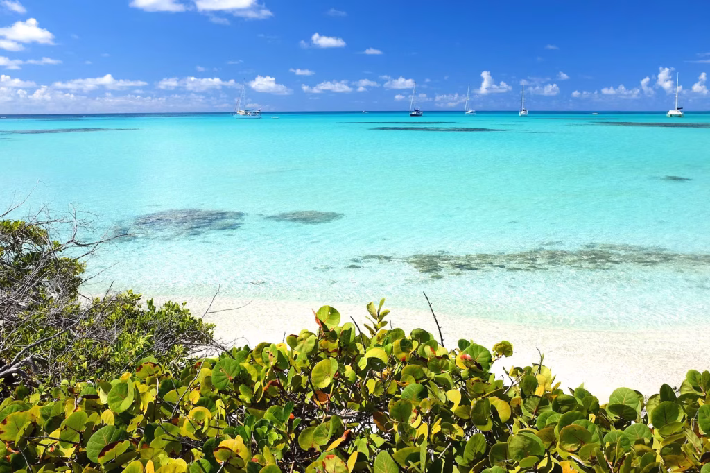 snorkeling beaches barbuda