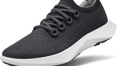 allbirds mens dasher