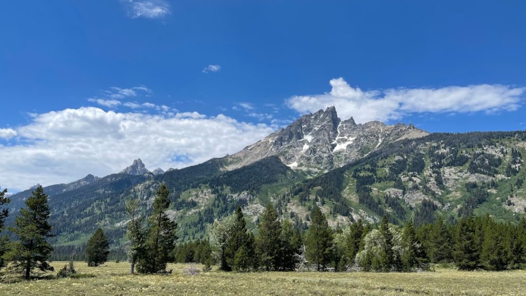 3 Day National Park Itinerary for Families Grand Teton National Park