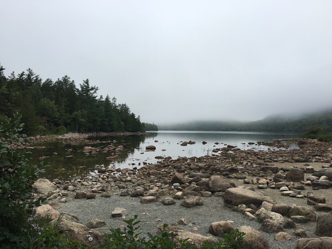 Where to Stay Near National Park