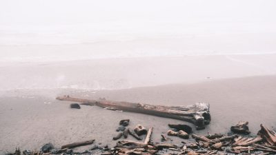 3 Day National Park Itinerary for Families