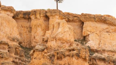Best Family Trails at National Park