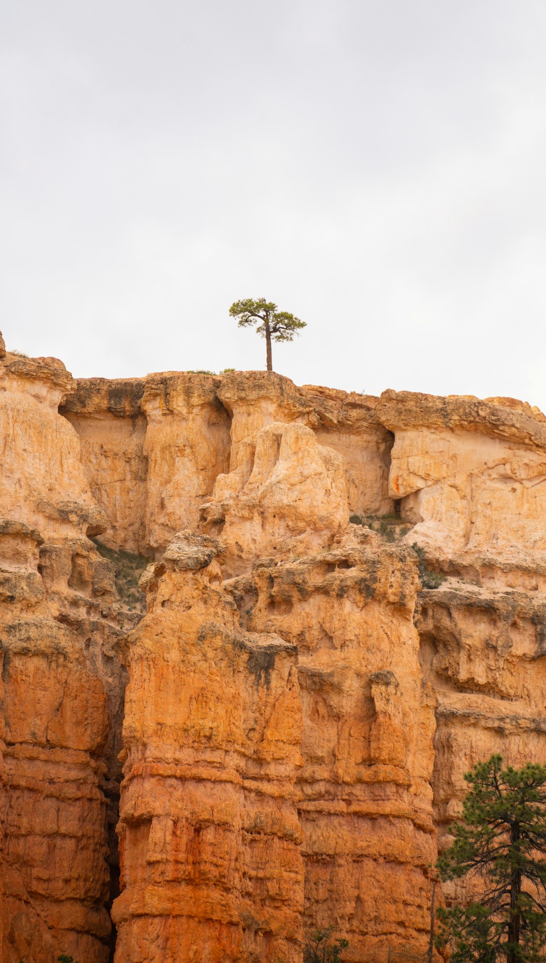 Where to Stay Near National Park