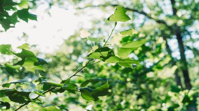 Budget Friendly Family Guide to National Park