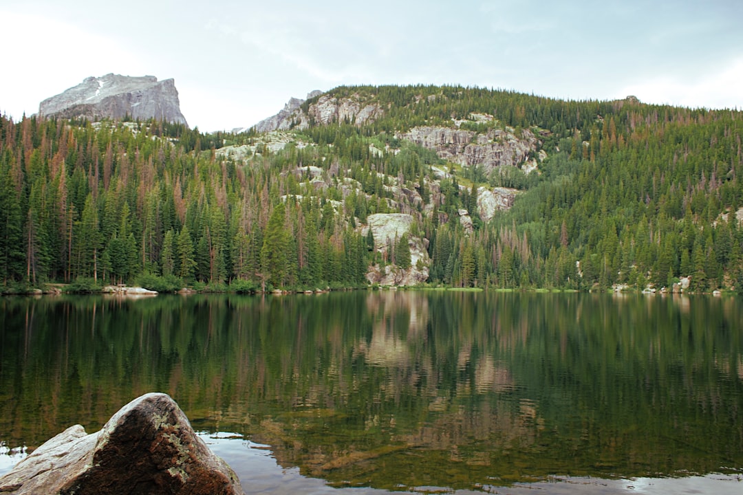 Where to Stay Near National Park