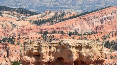 Budget Friendly Family Guide to National Park