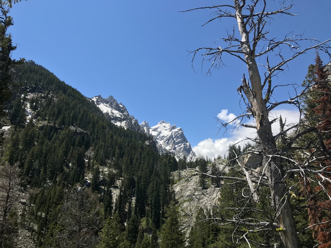 Where to Stay Near National Park