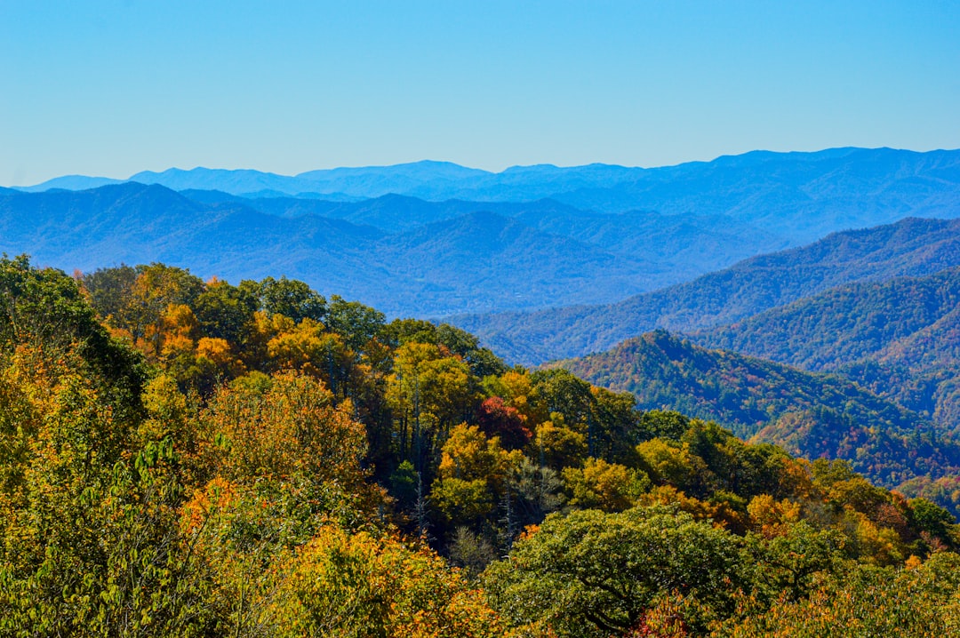 Where to Stay Near National Park