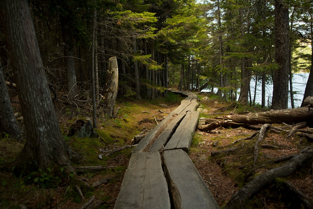 Where to Stay Near National Park