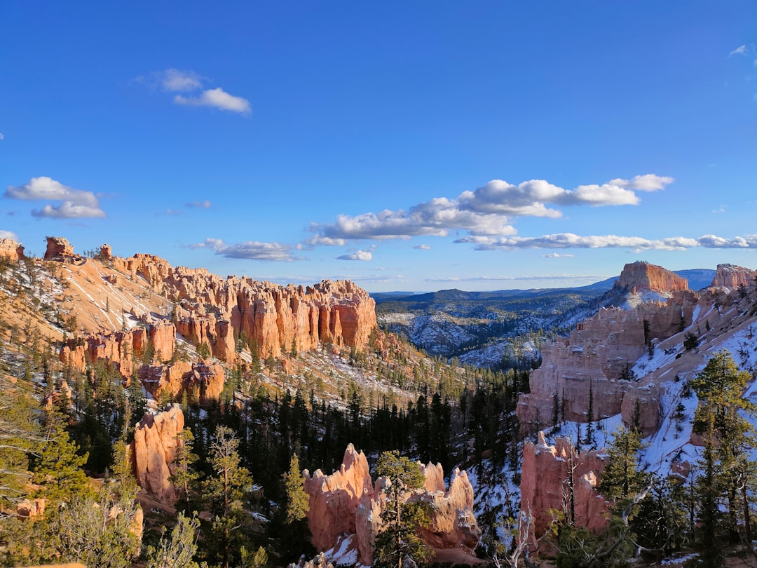 Where to Stay Near National Park