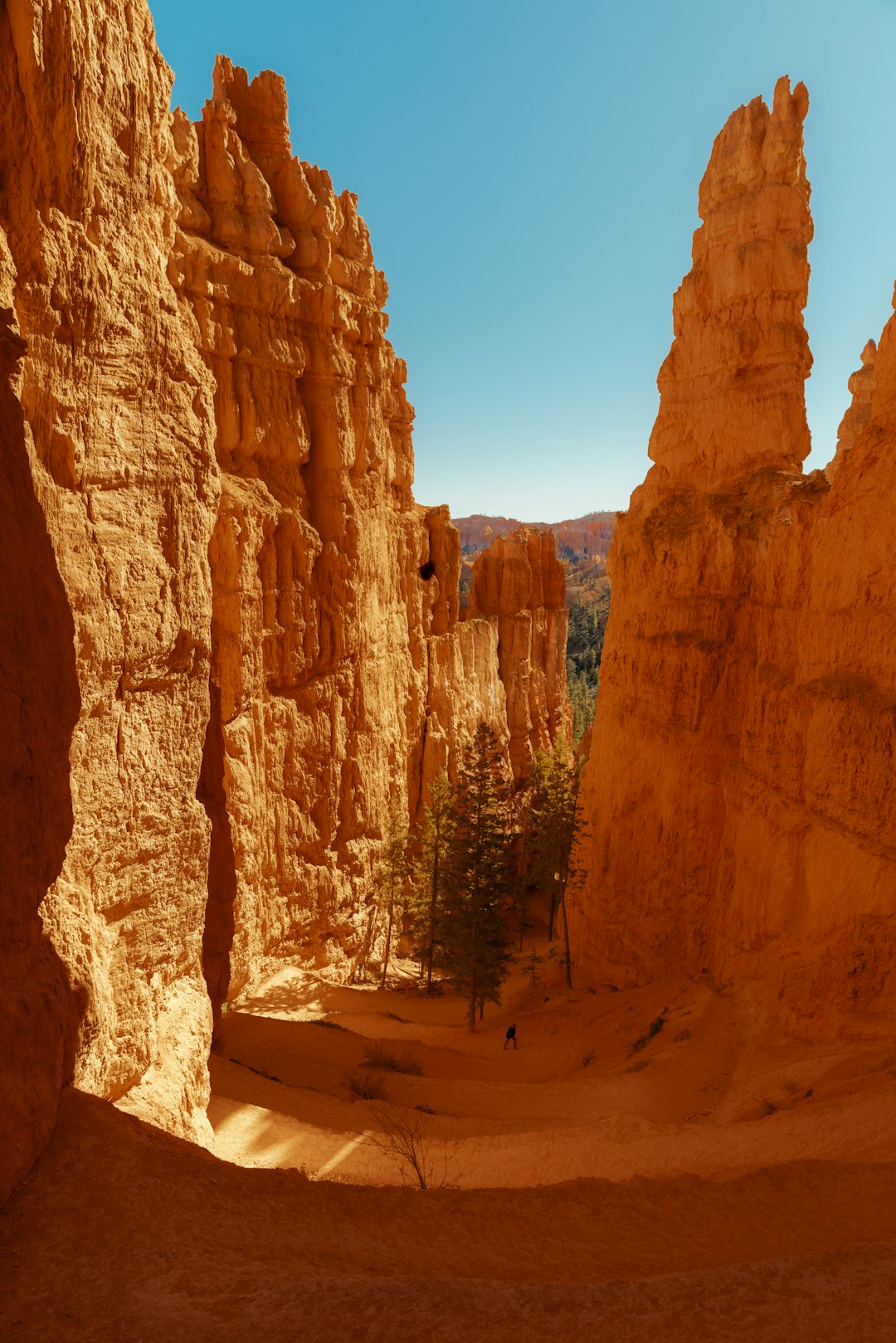 Where to Stay Near National Park