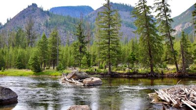 National Park with a Stroller