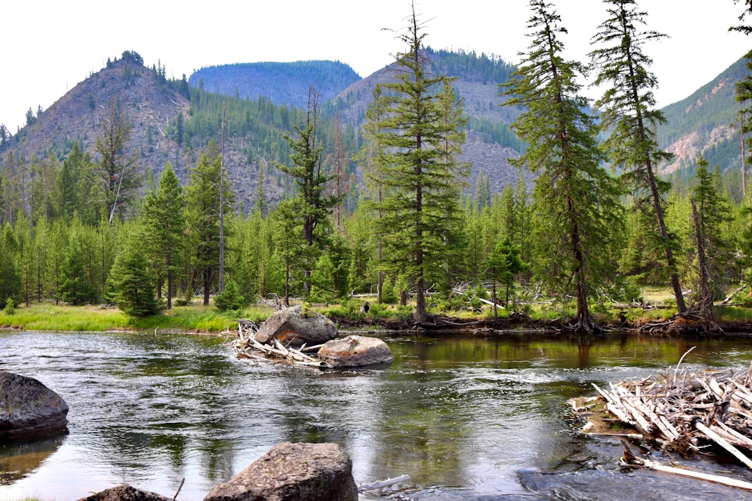 Where to Stay Near National Park