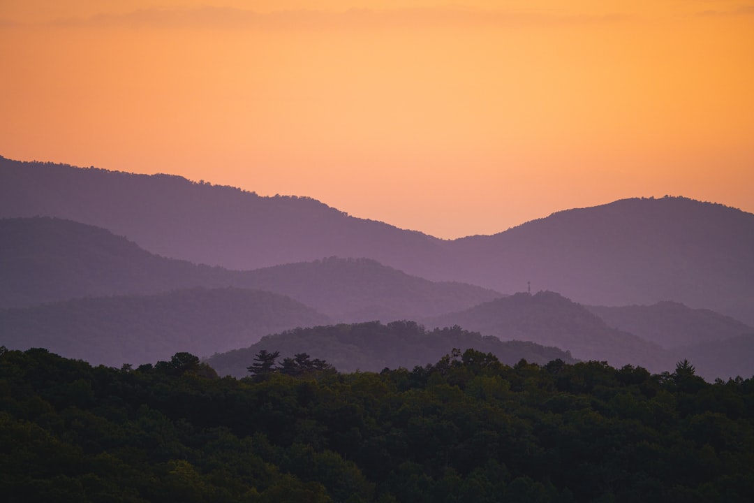 Where to Stay Near National Park