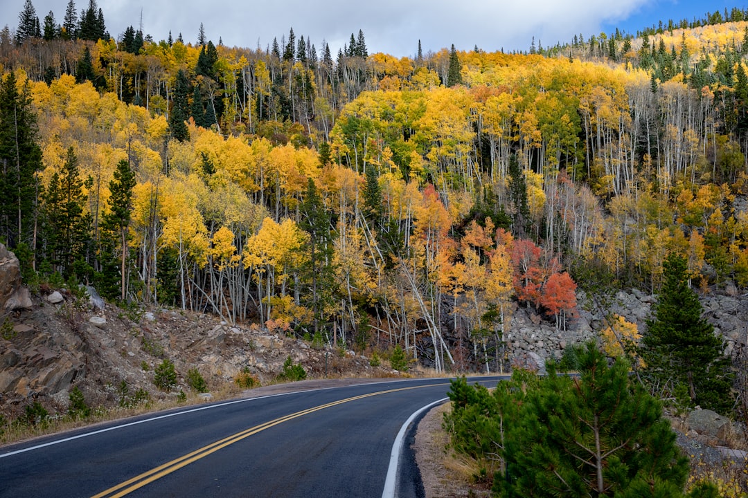 Where to Stay Near National Park