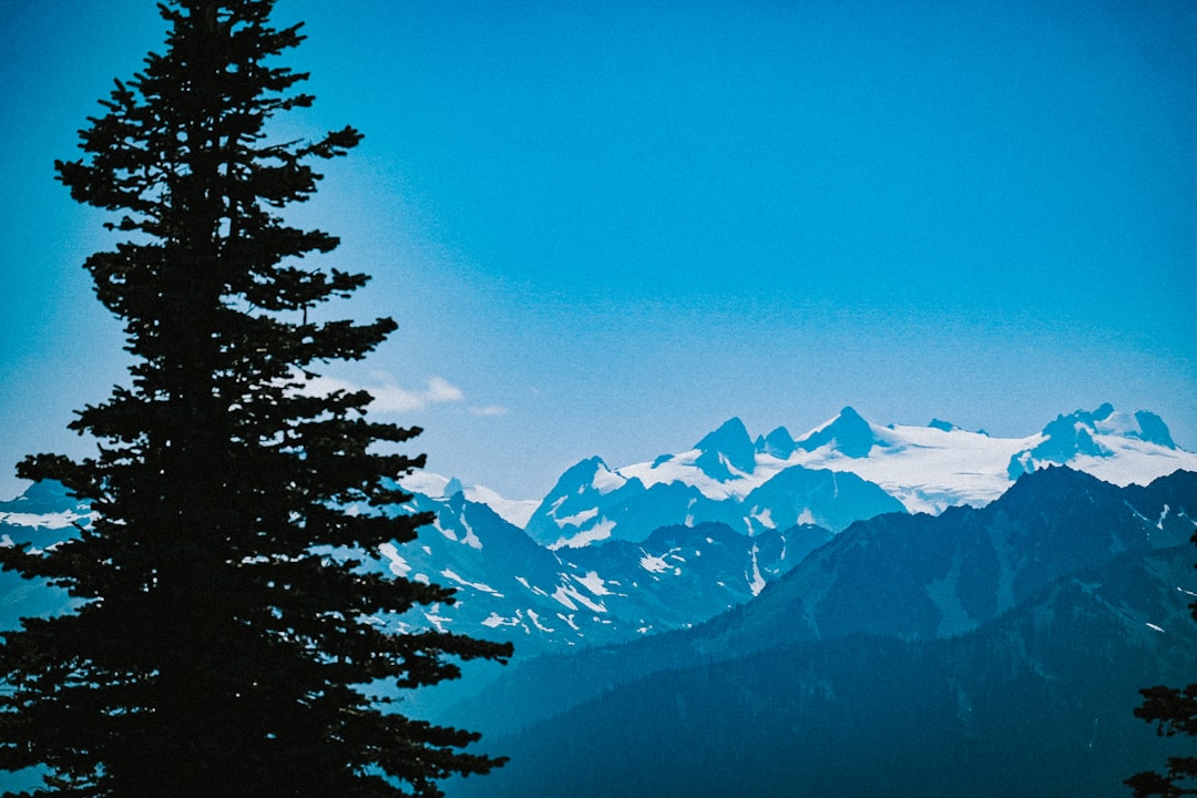 Where to Stay Near National Park