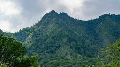 Ultimate Guide National Park