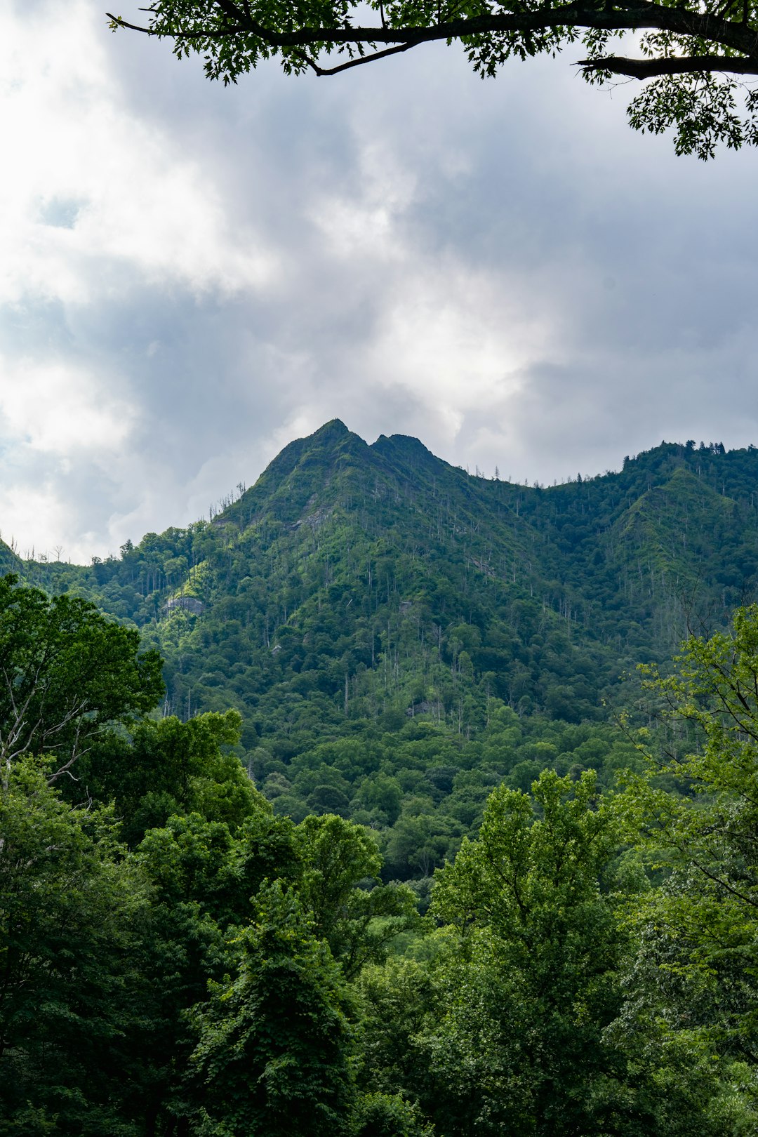 Where to Stay Near National Park