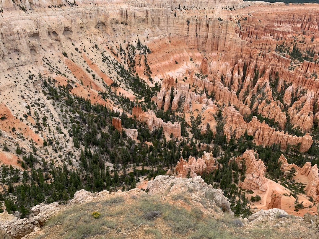 Where to Stay Near National Park