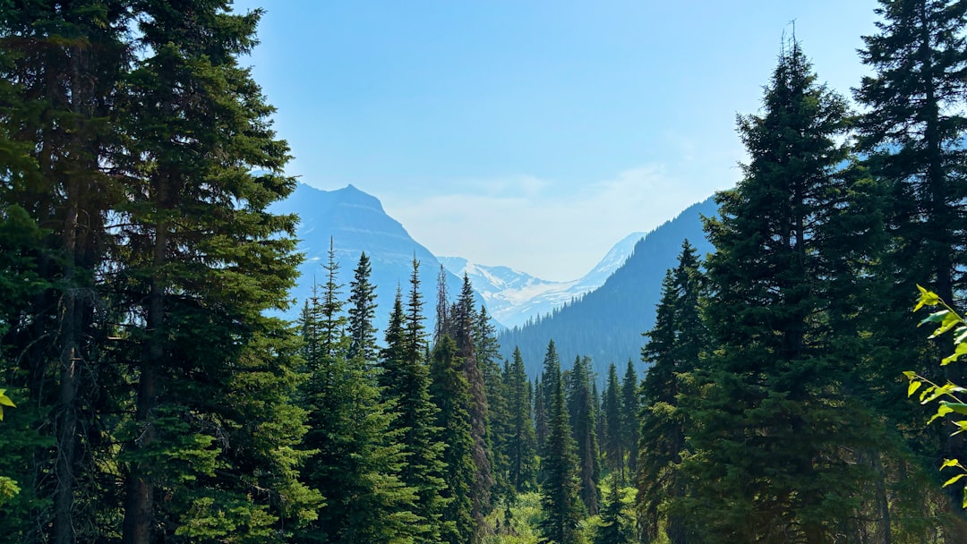 Where to Stay Near National Park