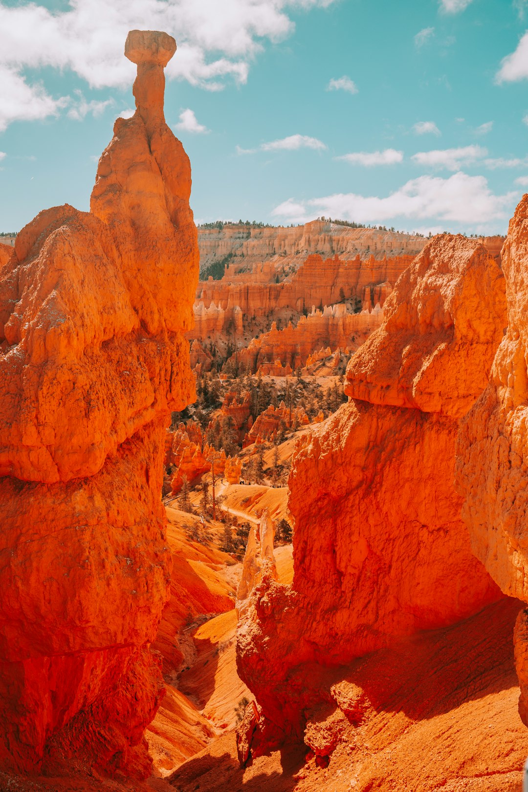 Where to Stay Near National Park
